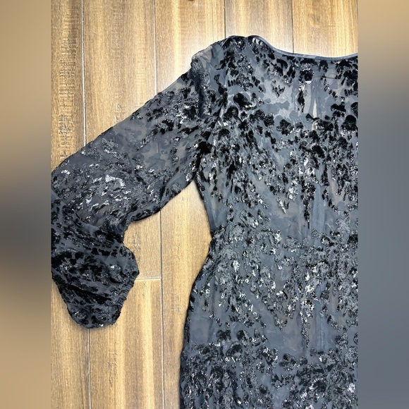 Size L Sheer Long Sleeved Animal Print Maxi Key Hole Round Neck Dress whimsigoth - Picture 3 of 13